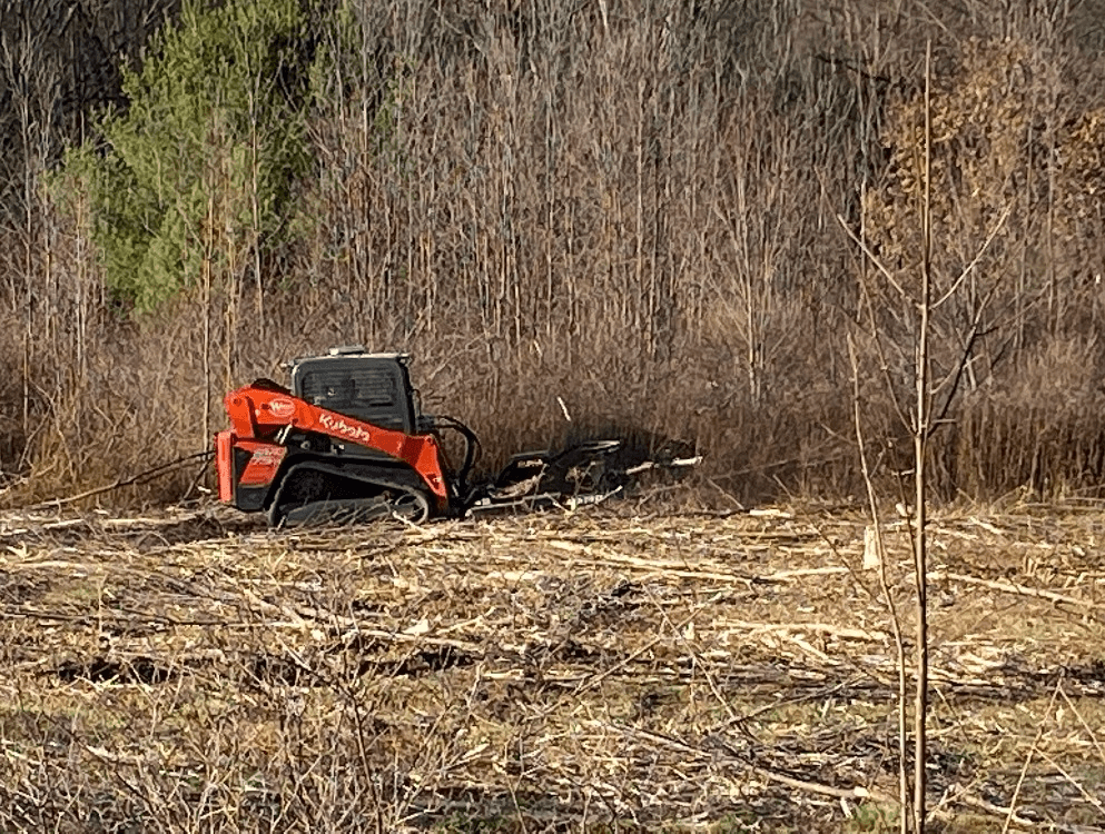 brushmowing